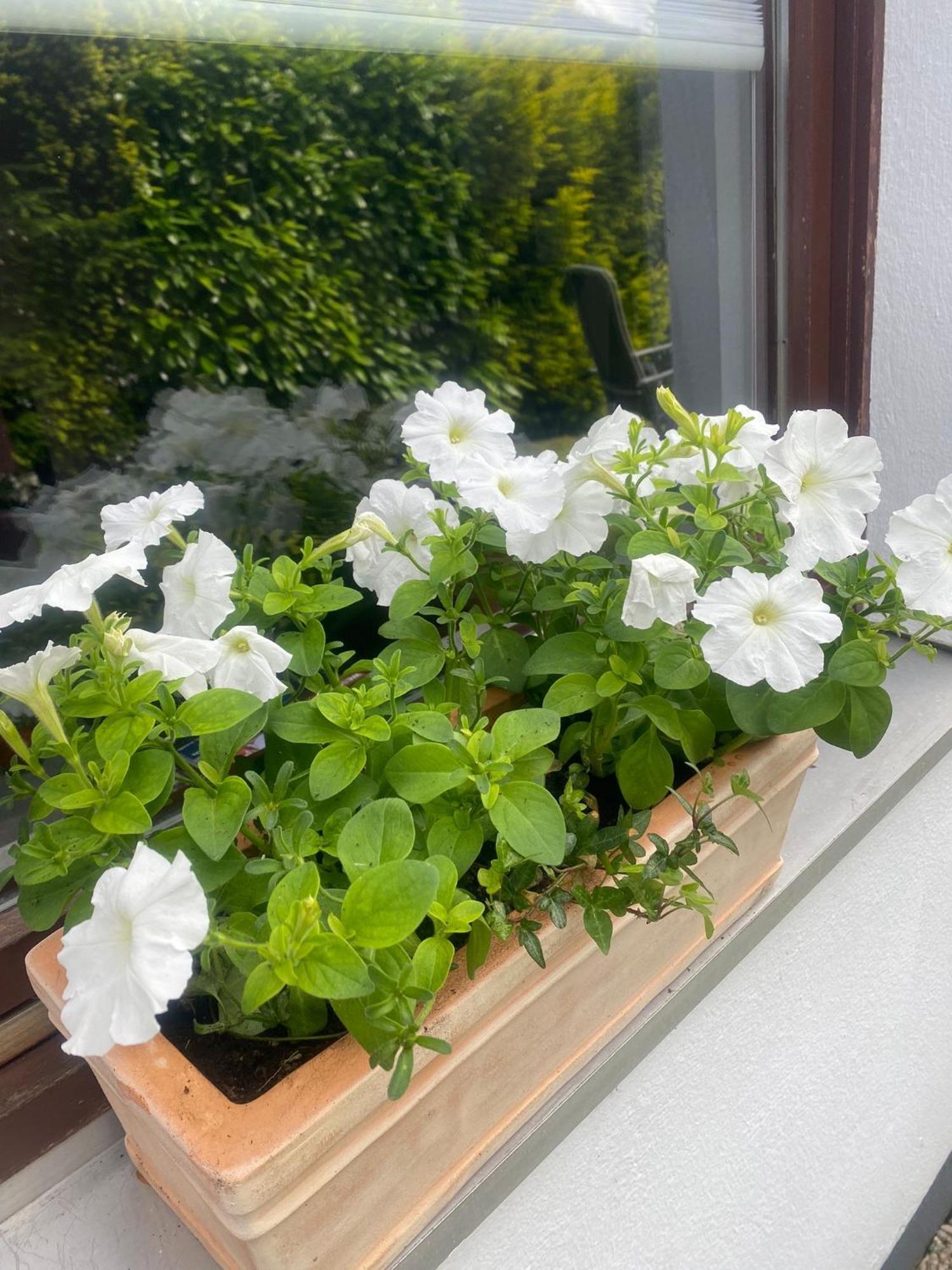 Ferienwohnung Biel Bodenwerder Bagian luar foto